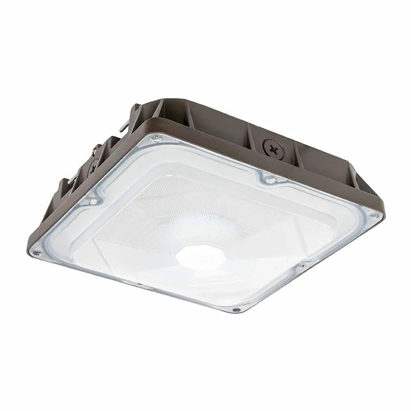 Canopy Lights